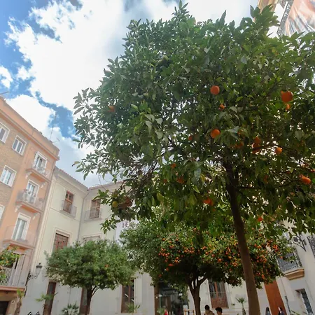 Apartment Tranquilo Apartamento Centrico En Plaza Cisneros